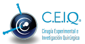 CEIQ – Cirugía Experimental e Investigación Quirúrgica