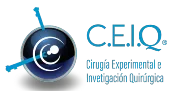 Logotipo de CEIQ – Cirugía Experimental e Investigación Quirúrgica